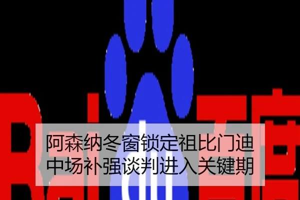 阿森纳冬窗锁定祖比门迪 中场补强谈判进入关键期