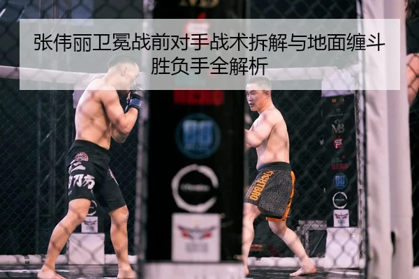 张伟丽卫冕战前对手战术拆解与地面缠斗胜负手全解析