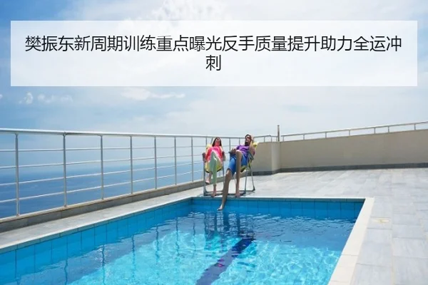 樊振东新周期训练重点曝光反手质量提升助力全运冲刺