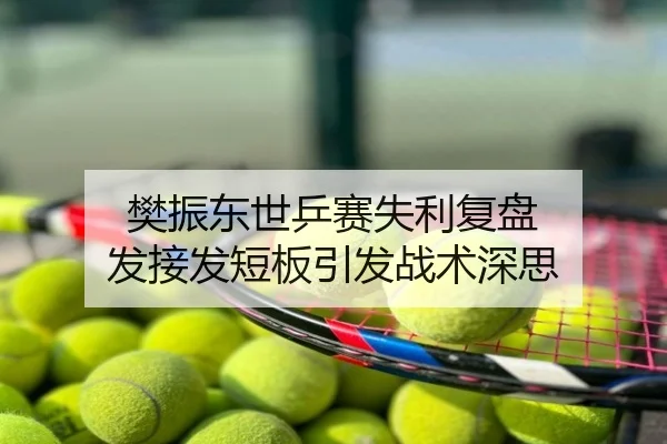 樊振东世乒赛失利复盘 发接发短板引发战术深思