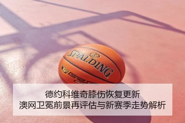 德约科维奇膝伤恢复更新 澳网卫冕前景再评估与新赛季走势解析